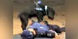 Twitter: Perro policía 'salva' la vida a un agente con reanimación cardiopulmonar [VIDEO]