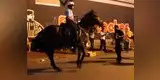 YouTube: Caballo policía sorprende al ponerse a bailar al escuchar su canción favorita [VIDEO]