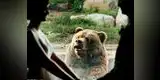 Viral: Un enorme oso se opone a un matrimonio [VIDEO]