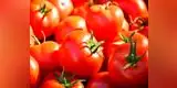 ¿Te gustan los tomates? Descubren que consumirlos ayuda a mejorar la salud pulmonar 