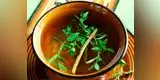 Salud: 5 beneficios de la muña que te sorprenderán 