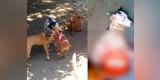 Facebook: desalmados regresan a albergue donde violaron a perrita y ahora matan a cachorro [FOTOS]