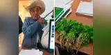Twitter: anciano campesino enternece al pagar con culantro su acta de nacimiento
