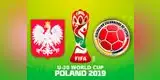 Polonia vs. Colombia EN VIVO: cafeteros derrotaron 2-0 a polacos por el Mundial Sub 20 [GOLES Y RESUMEN]