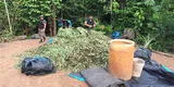 Incautan casi una tonelada de hoja de coca en la ciudad de Pasco [FOTO y VIDEO]