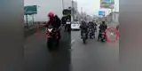 Motociclistas se detienen en plena Panamericana Norte para darle el paso a un perro [VIDEO]