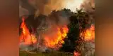 En un mes se han registrado 142 incendios forestales en todo el país