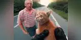 Detienen el tránsito para salvar a un gatito y  se ganan la admiración en redes sociales [VIDEO]