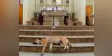 Perros abandonados entran a misa para buscar ser adoptados [FOTOS]