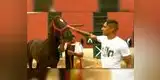 Paolo Guerrero, Claudio Pizarro, entre otros, gastan casi 6 mil dólares en crianza de caballos [VIDEO]