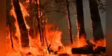 Hombre intenta salvar su cultivo de marihuana y provoca incendio que destruye más de 200 viviendas