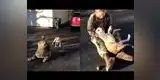 Reencuentro de dueña y perro se vuelve viral en Facebook [VIDEO]
