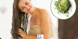 5 beneficios de la Matcha para el cuidado del cabello que desconocías