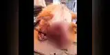 Facebook: Sujeto agredió con machete a un perrito en Amazonas y le destrozó un ojo [FOTO]