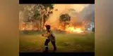 Australia bajo llamas por incendios forestales [VIDEO]