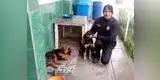 Miembro de la PNP construye casas y protege del frío a perros sin hogar en Cerro de Pasco [FOTOS]