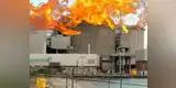 Canadá en alerta de emergencia por "incidente" en la central nuclear de Pickering [VIDEO]