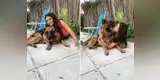 Mujer salvó de morir tras mordida de un perro: “Tuve suerte, no me tocó ningún nervio” [VIDEO]