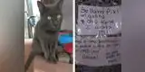  Gato "infiel" tenía doble vida y es desenmascarado por sus dueños en redes sociales [FOTOS]