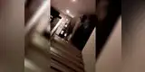 Elefante se cuela en lujoso hotel y video tiene millones de reproducciones [VIDEO]