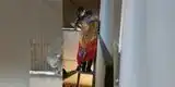 Efectivos de la PNP frustraron intento de fuga de Juan Sotomayor [FOTO Y VIDEO]