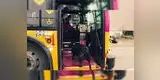 Facebook: Perrita coge el bus para ir al parque sin su dueño [FOTO]