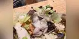 Argentina: Pareja pide una ensalada César y se lo traen con una rana muerta [FOTOS]