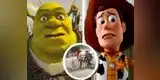 Facebook Viral: Shrek y Woody participan de una pelea callejera y terminan en el suelo [VIDEO]