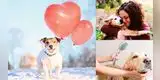 San Valentín con tu mascota: el plan ideal