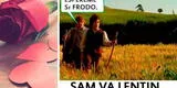 San Valentín: Estos son los mejores memes  compartidos por el  "Día del amor"