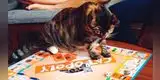 Cat-Opoly la versión del Monopoly que todo amante de los gatos quisiera tener