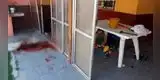 Padre mató a martillazos a su hija “drogadicta” para defender a su nieta