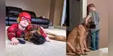 Facebook: Niño es castigado y su fiel amigo de cuatro patas lo consuela [FOTO]