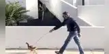Saca a pasear a su gallina en medio de la cuarentena y lo multan con más 30 mil dólares
