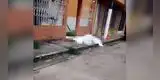 Coronavirus en Ecuador: Cadáveres permanecen por horas en las calles por falta de ambulancias