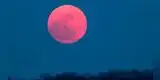 Sigue EN VIVO la Superluna rosada, evento que será visto HOY en todo el mundo