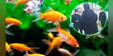 Detienen a hombre por sacar a “pasear” a sus peces durante cuarentena