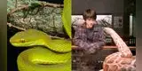 Harry Potter: Descubren especie de serpiente y la bautizan en honor a Salazar Slytherin