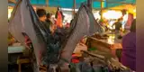 Indonesia sigue vendiendo murciélagos en el mercado de animales, pese al coronavirus