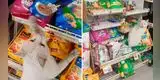 Gato callejero le enseña su comida favorita a una mujer para que lo alimente [VIDEO]