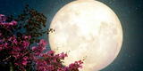 Las impresionantes imágenes de la última ‘Superluna de flores’