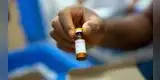 Bolivia autoriza antiparasitario ivermectina para combatir el coronavirus en el país