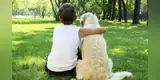Niño cuida a perro que sufrió un accidente hasta que lo auxilien [FOTOS]