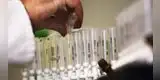 Científicos japoneses crean un virus capaz de matar células cancerosas