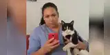 Mujer y su gato tienen insólita reacción al escuchar revelador audio de ‘infidelidad’ [VIDEO]