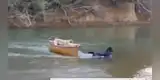 Valiente perro se lanza al río para salvar a sus 'amigos' de morir ahogados en el río [VIDEO]