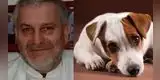 México: Sacerdote mata con un machete a un perro por haberle ladrado