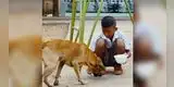 Niño conmueve las redes al compartir su desayuno con un perrito callejero [VIDEO]