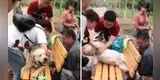 Perrito queda atrapado en una banca por ser muy gordo y su rescate divierte en redes [VIDEO]