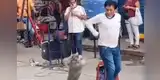 Hombre ofrece show junto a su perro al ritmo de huaylas para ganarse la vida durante la cuarentena [VIDEO]